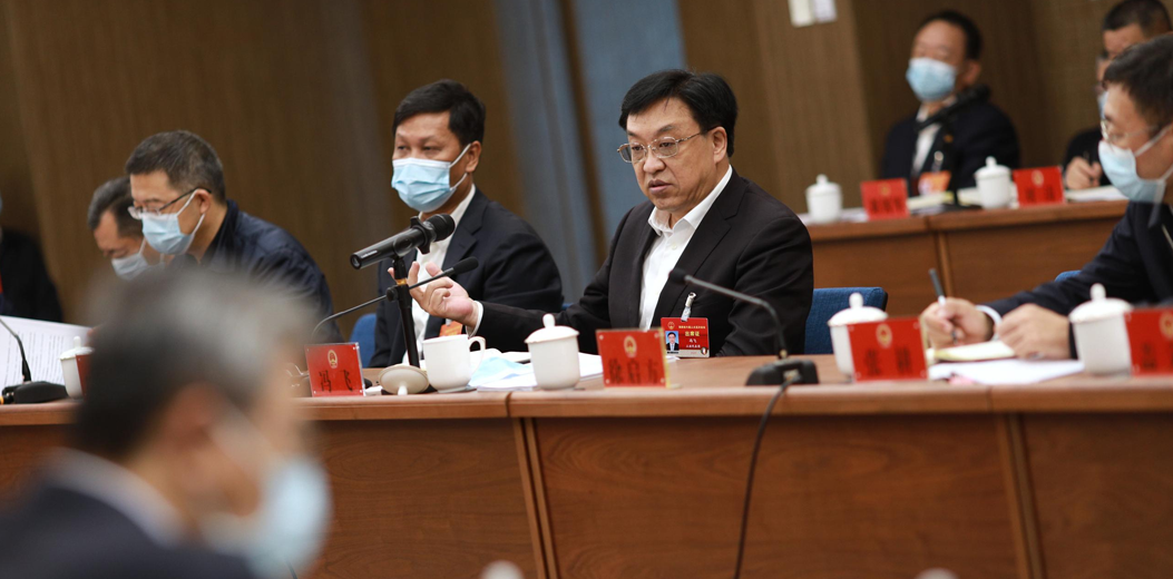 馮飛參加儋州、五指山代表團審議審查