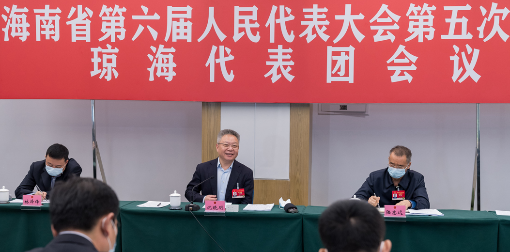 沈曉明參加瓊海、萬寧、陵水代表團審議審查
