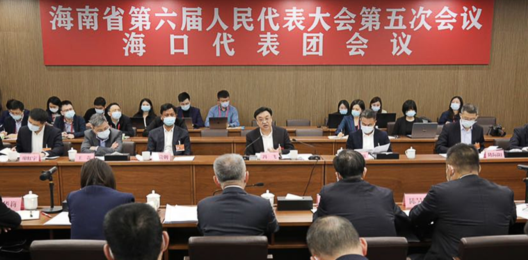 馮飛在參加海口、三亞、三沙代表團審議
