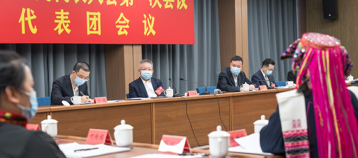 沈曉明參加儋州、東方代表團審議