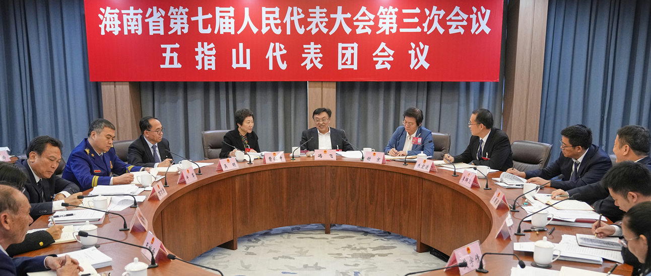 馮飛參加五指山、三亞代表團審議