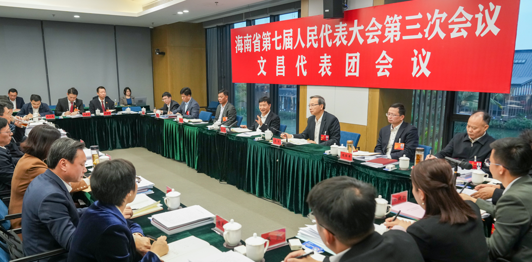 劉小明參加文昌、瓊中代表團審議