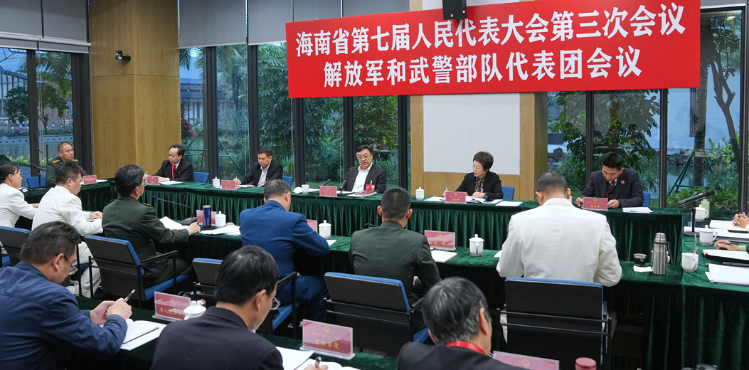 馮飛參加解放軍和武警部隊代表團、瓊海代表團審議