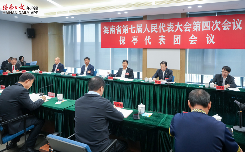 劉小明參加保亭、三沙、昌江、定安代表團審議