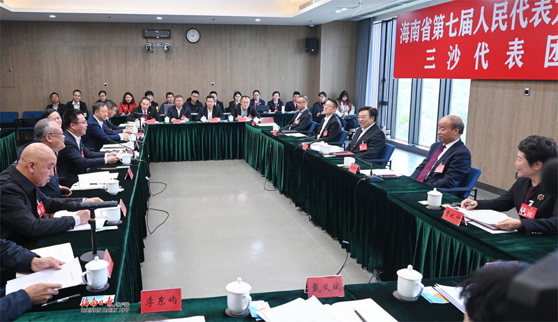 馮飛參加三沙代表團、解放軍和武警部隊代表團審議