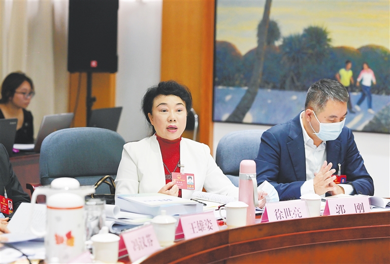 海口代表團(tuán)徐世亮代表就幼兒托管問題發(fā)表意見