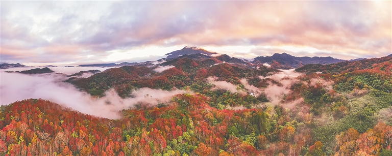 五指山優美的自然風光