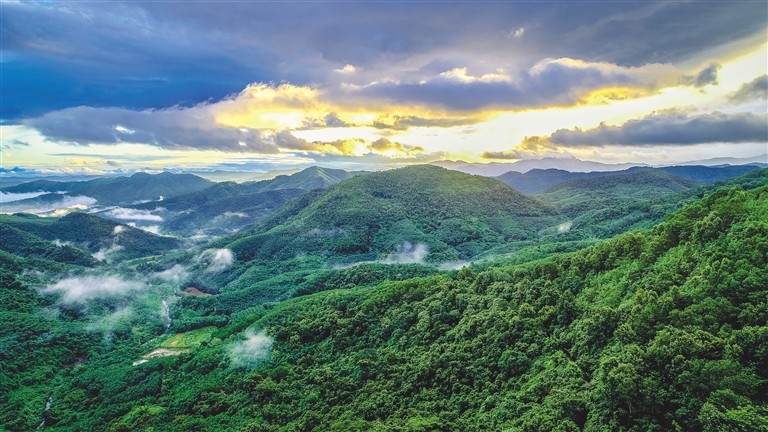 白沙加快建設“兩山”基地，推動生態文明建設邁上新臺階