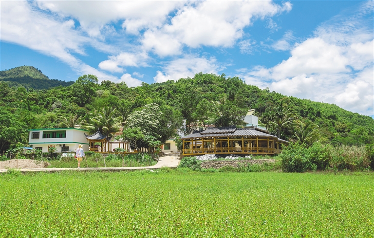五指山市水滿鄉毛納村美麗的田園風光