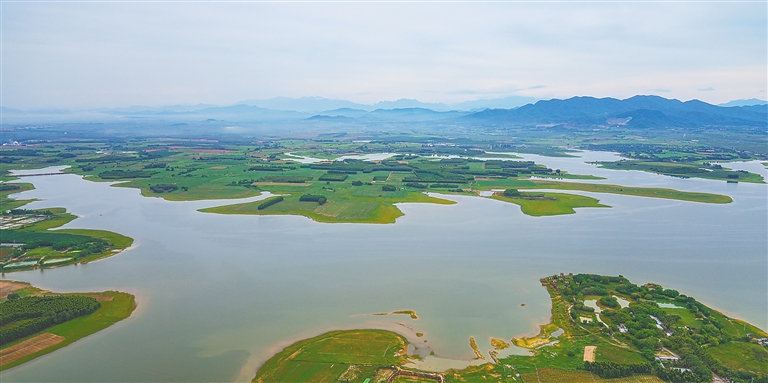 東方高坡嶺水庫：水清岸綠 河暢景美
