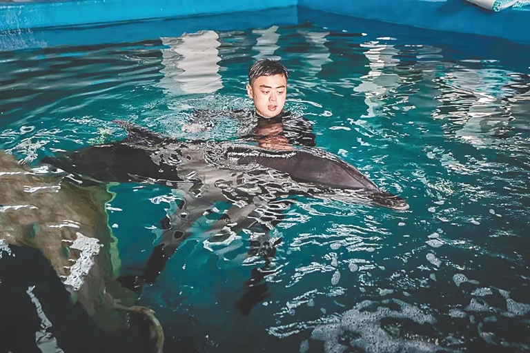 昌江棋子灣受傷擱淺海豚獲多方全力救治，目前恢復良好