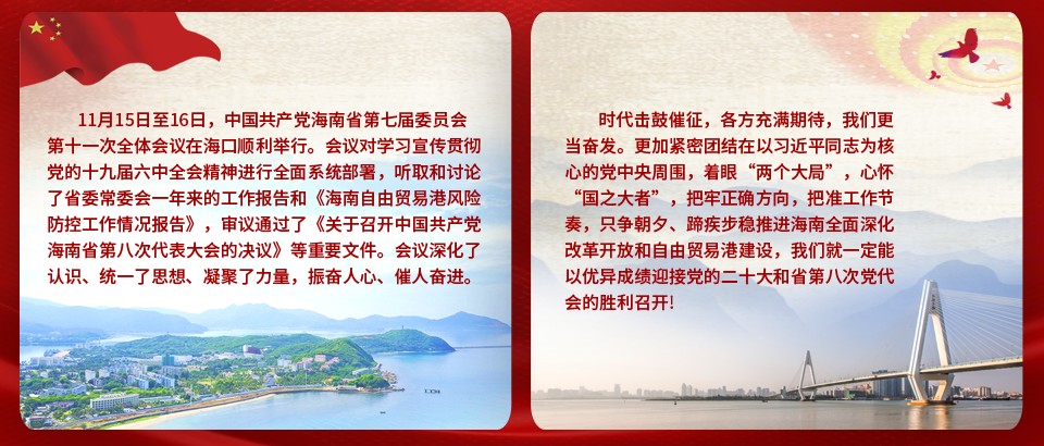 奮力推動(dòng)自貿(mào)港建設(shè)行穩(wěn)致遠(yuǎn)