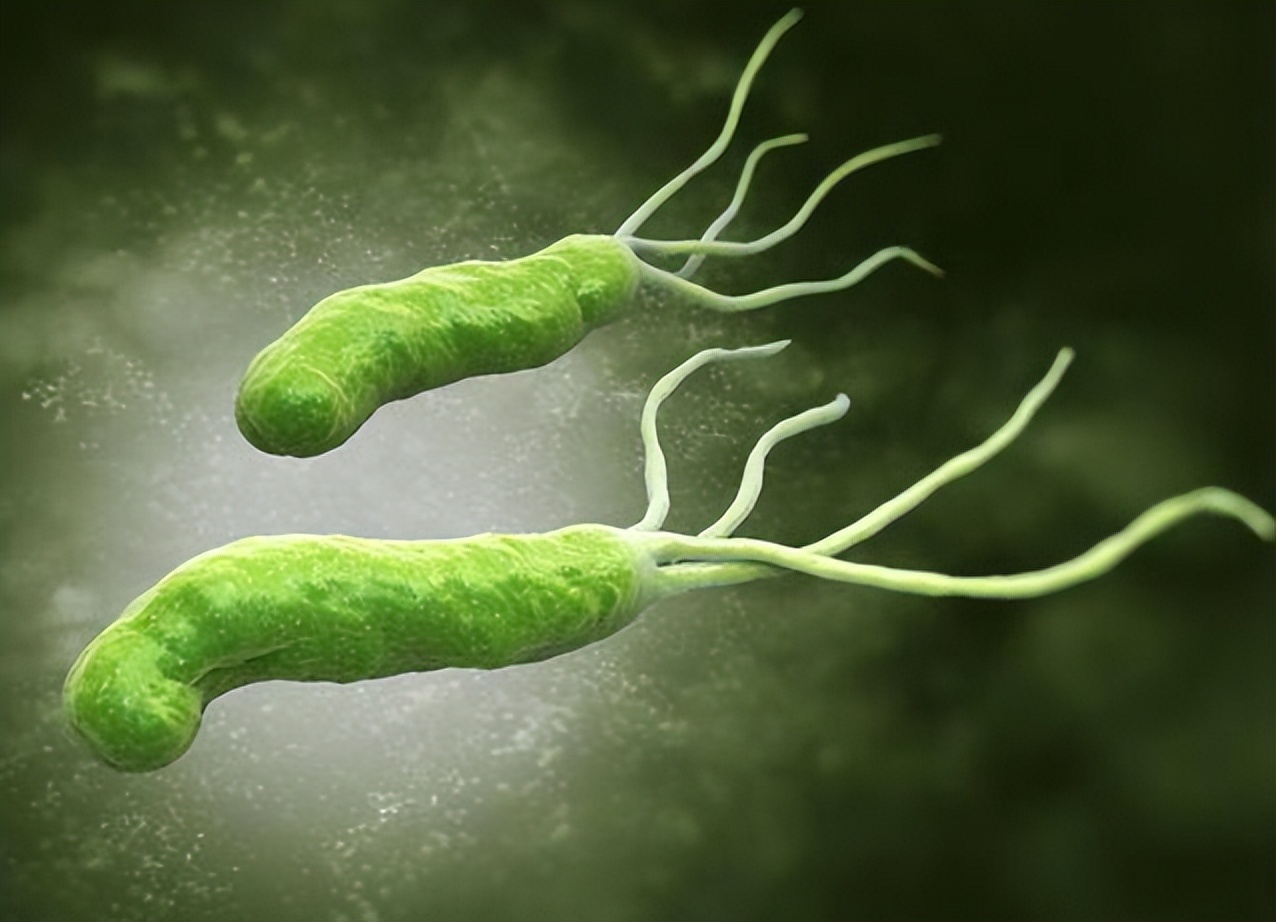 別拿幽門螺旋桿菌當“減肥藥”