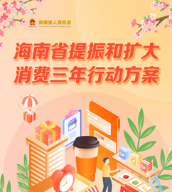 圖解 | 海南省人民政府辦公廳關于印發《海南省提振和擴大消費三年行動方案》的通知
