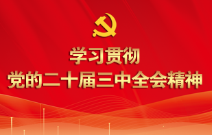 學習貫徹黨的二十屆三中全會精神
