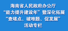 “能力提升建設年”暨深化拓展“查堵點、破難題、促發展”活動專欄